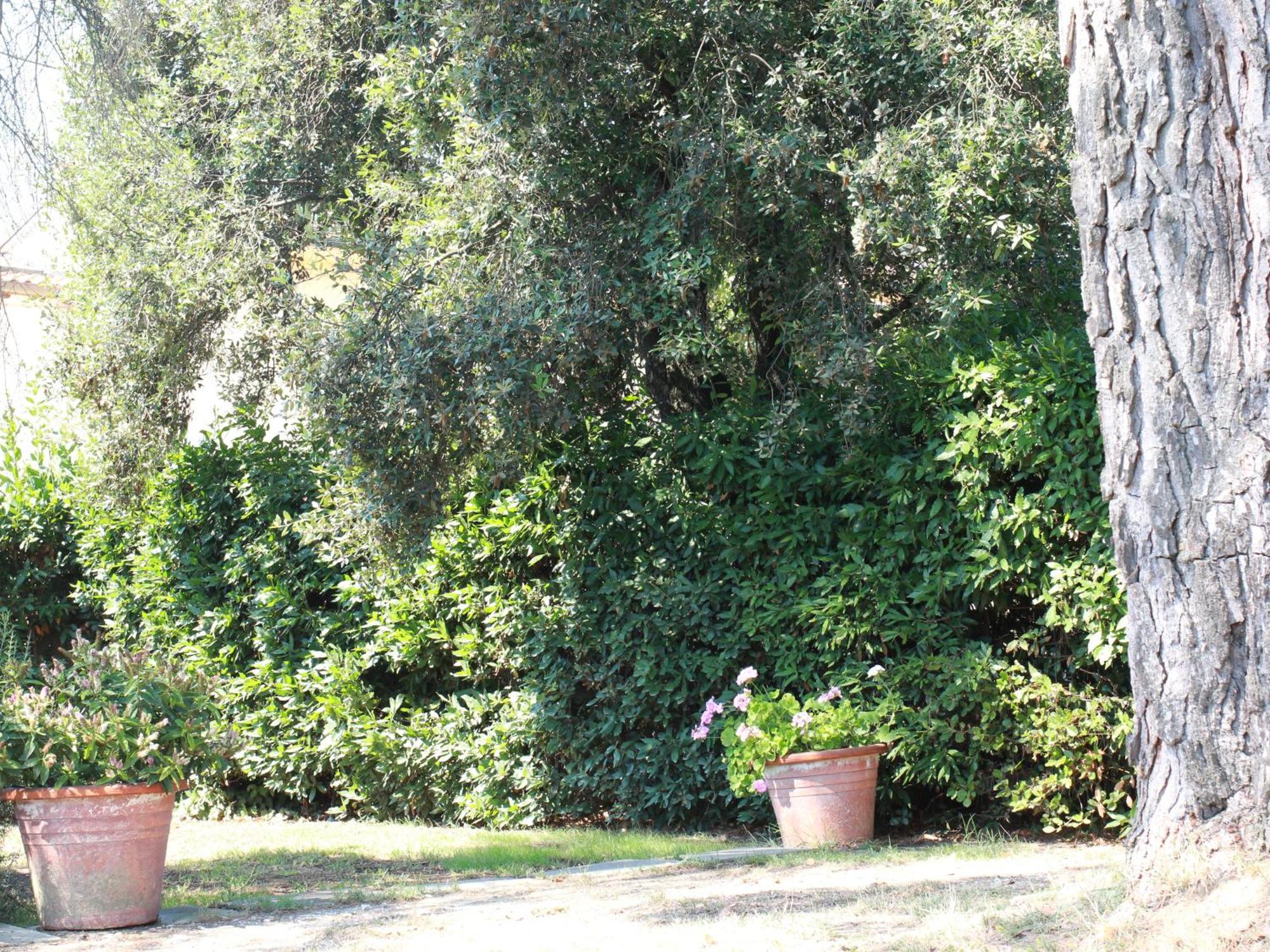 Villetta La Pineta Latignano Exterior foto